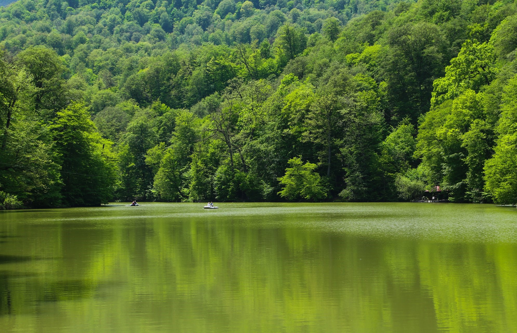 Parz Lake Dilijan
